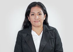como-funciona-autopresta-CTO_7809